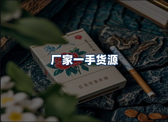 专业团队办公环境